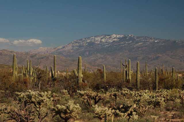 Santa Catalina Mountains